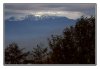16/IMG_2860 site.jpg